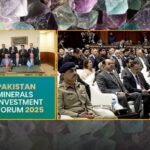 Politics Over Minerals