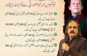 Over wo dozen uplift Projects announced for Peshawar in KP Budget 2025-26