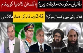 Are the Taliban the truth? Pakistan's message to the world