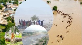 Monsoon disaster