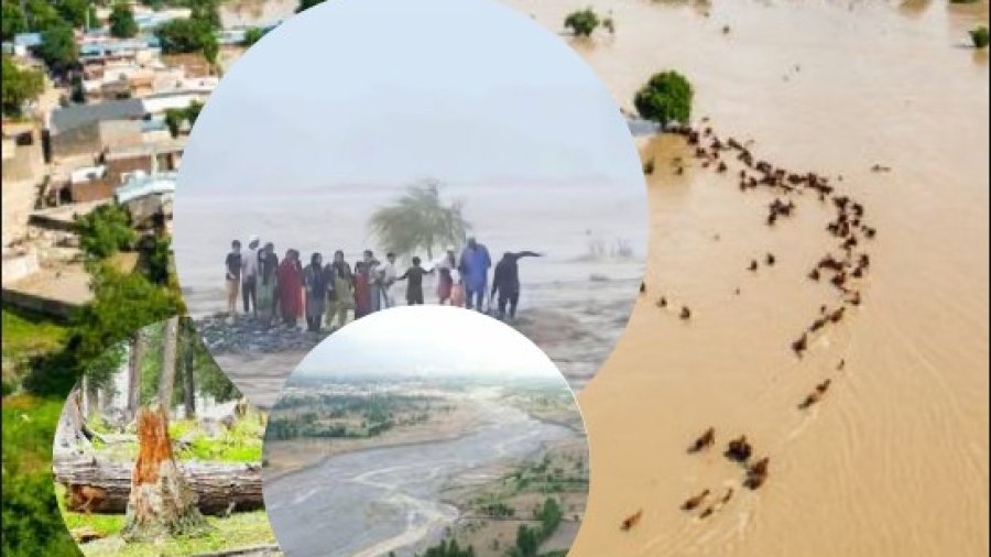 Monsoon disaster