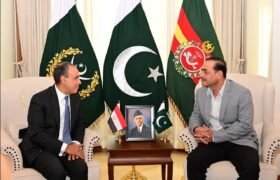 Foreign Minister of the Arab Republic of Egypt, called on Field Marshal Syed Asim Munir, NI (M)