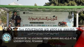 YouTube Thumbnail VoKp