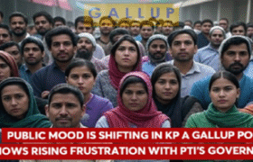 VoKP 21st Magazine Article