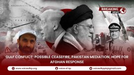 YouTube Thumbnail VoKp