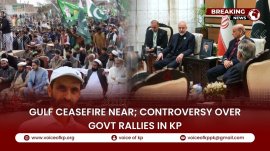 YouTube Thumbnail VoKp