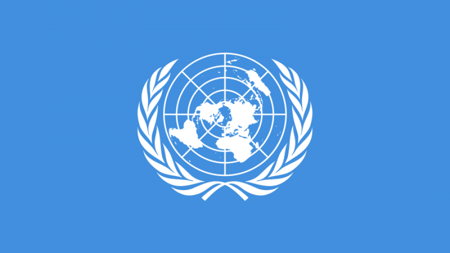 800px-Flag_of_the_United_Nations.svg