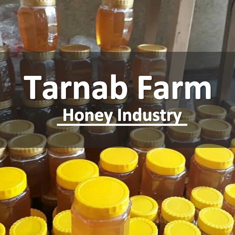 Peshawar’s Tarnab Farm is one of the biggest honey markets