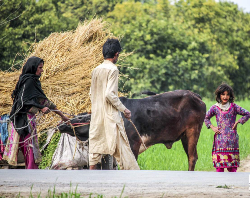 Sindh