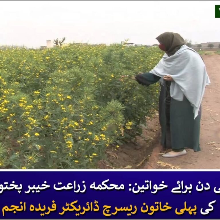 Fareeda Anjum Director Agriculture Department and Researcher