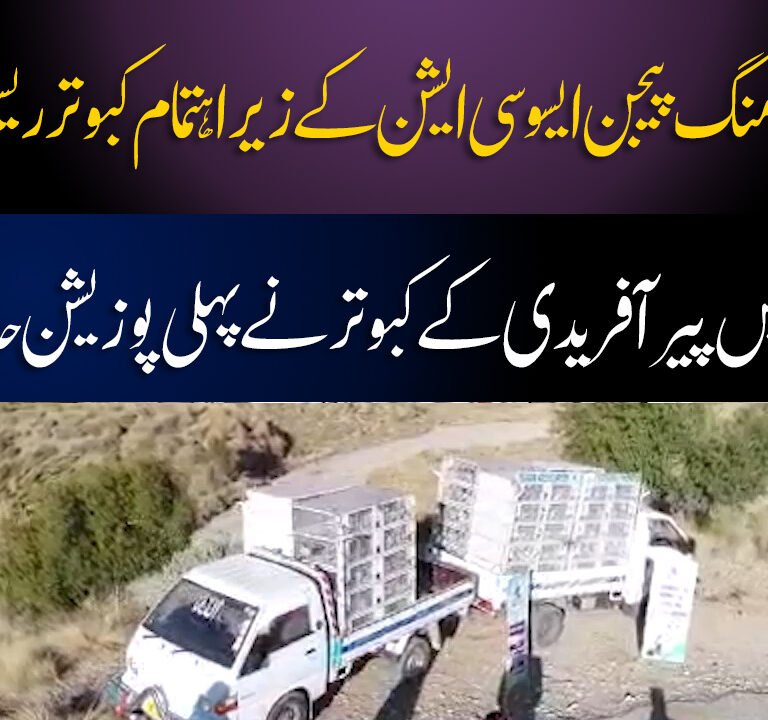 PIGEON RACING IN KPK 2023