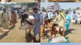 483d97b2-e5fd-4fe5-9b8f-6516968e2092