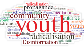 Disinformation pushing youth towards extreme ideologies