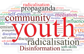 Disinformation pushing youth towards extreme ideologies