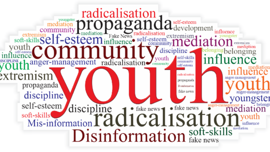 Disinformation pushing youth towards extreme ideologies