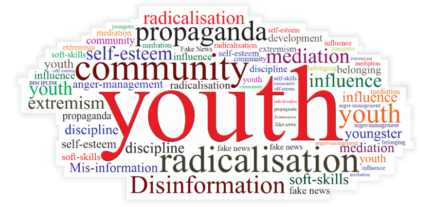 Disinformation pushing youth towards extreme ideologies