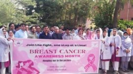 Organized breast cancer awareness walk