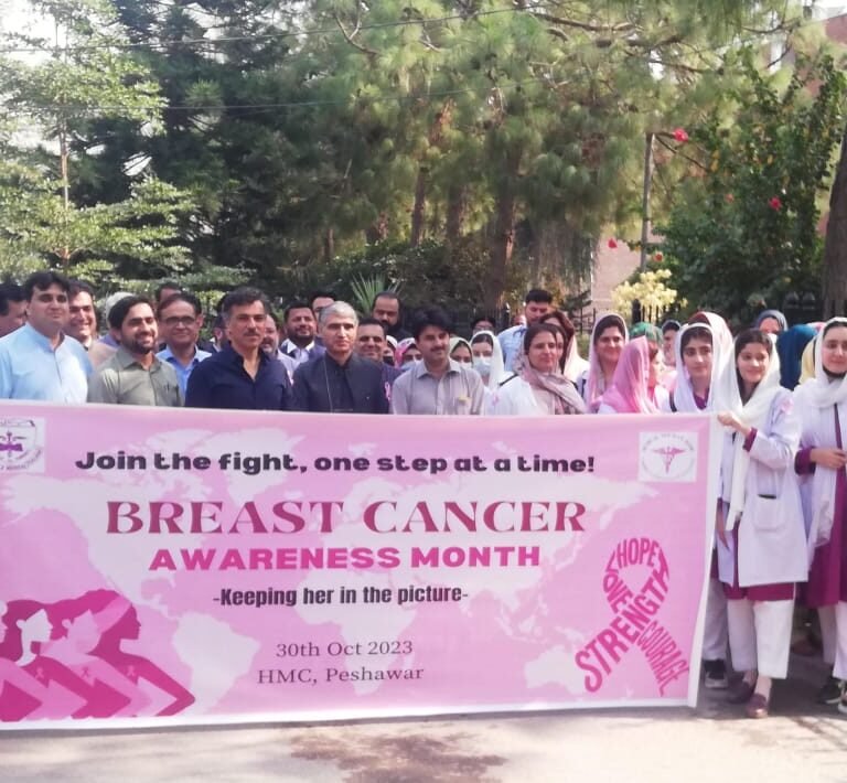 Organized breast cancer awareness walk