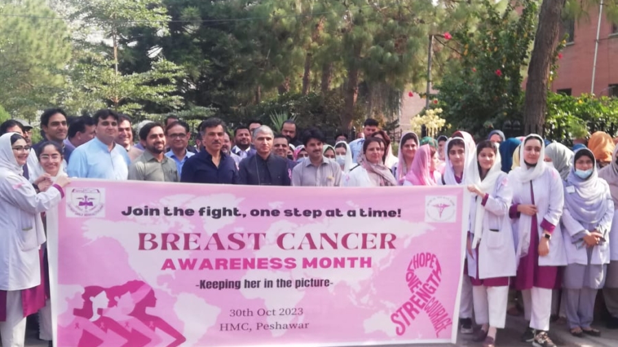 Organized breast cancer awareness walk