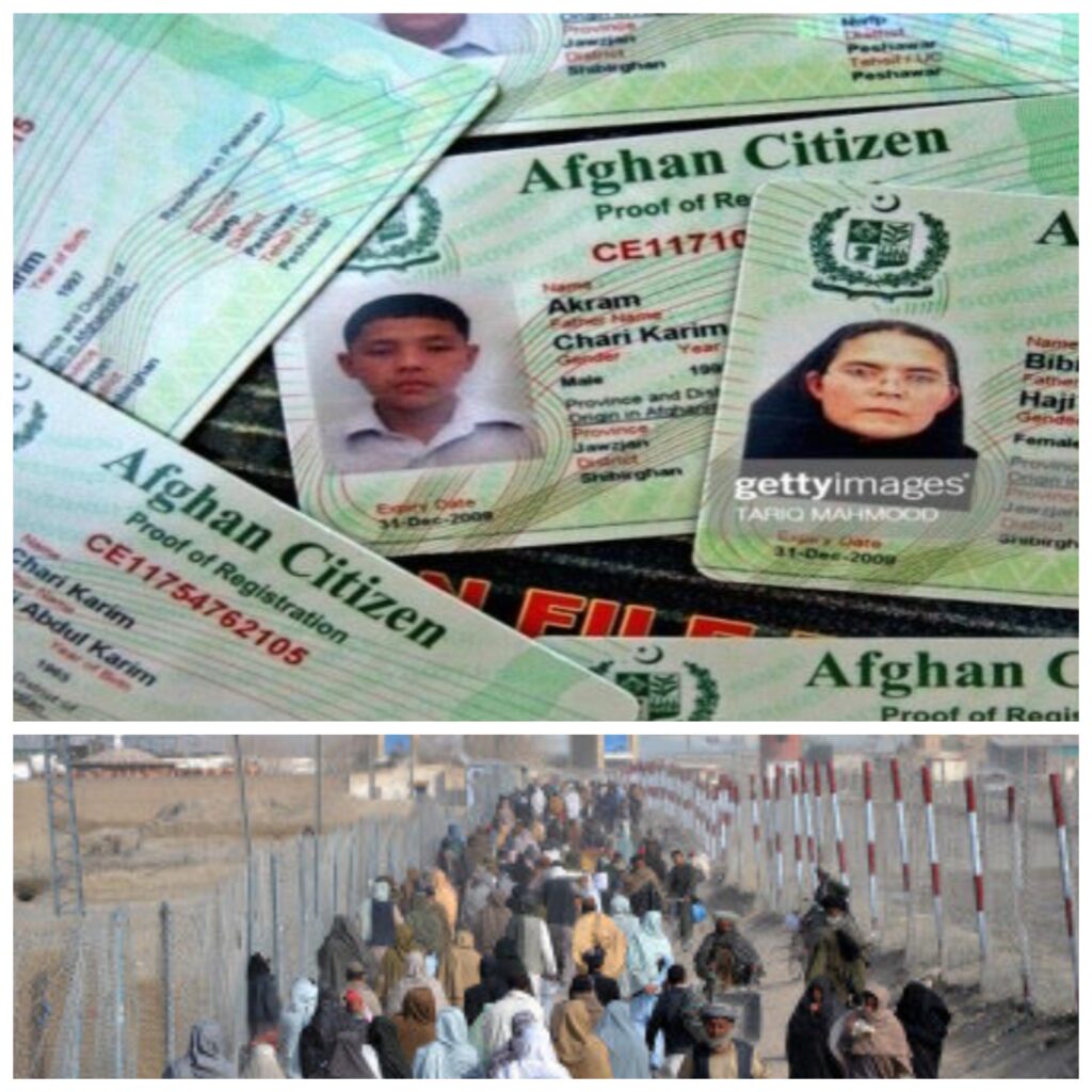 pak afghan repatriation issue 2023