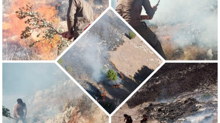 The Lower Orakzai fire has been brought under control