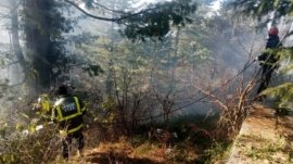 A forest fire broke out near Nithyagli DC House