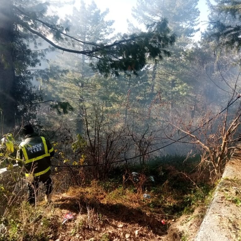 A forest fire broke out near Nithyagli DC House