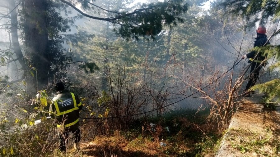 A forest fire broke out near Nithyagli DC House