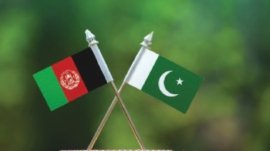 افغانستان کی اعلی جامعات کے فیکلٹی اراکین