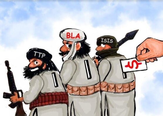 TTP’s Deception Stands Exposed!