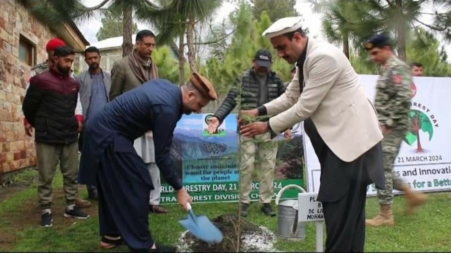 Plantation campaign at Headquarters Chitral Scouts in connection with World Forest Day