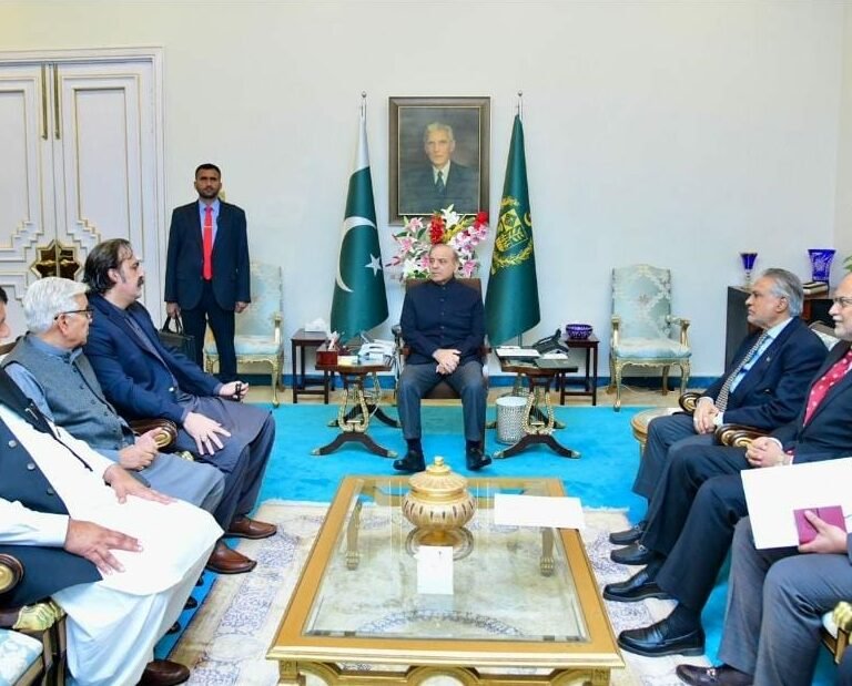 Khyber Pakhtunkhwa Chief Minister Ali Amin Khan Gandapur meeting with Prime Minister Muhammad Shahbaz Sharif