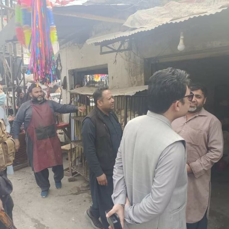 Inspection of various markets by Additional Assistant Commissioner Catling