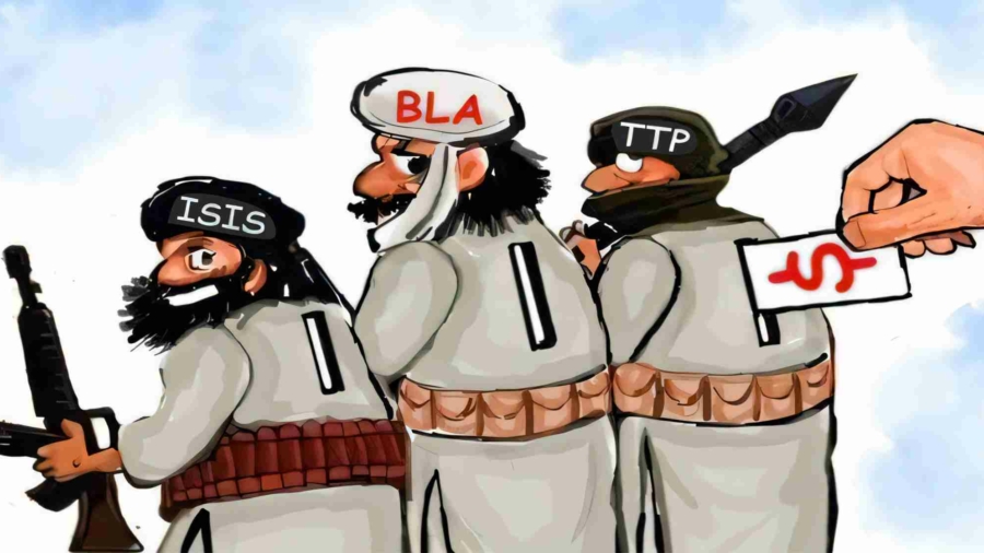 TTP's Deceptive Agenda Exposed!