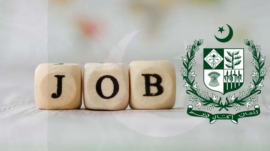 Decision on recruitment to vacant posts of federal departments and ministries
