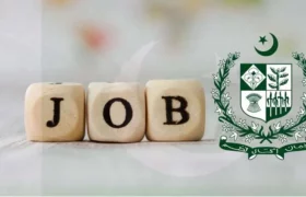 Decision on recruitment to vacant posts of federal departments and ministries