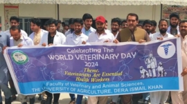 Organized a walk in connection with World Veterinary Day in Agricultural University