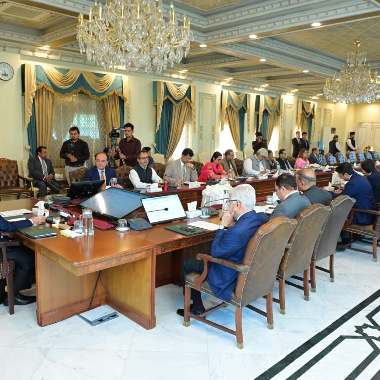 Proclamation of privatization of government-owned enterprises