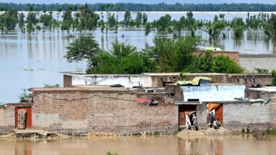Climate Challenges & Preparedness in KP: Building Resilience for the Future