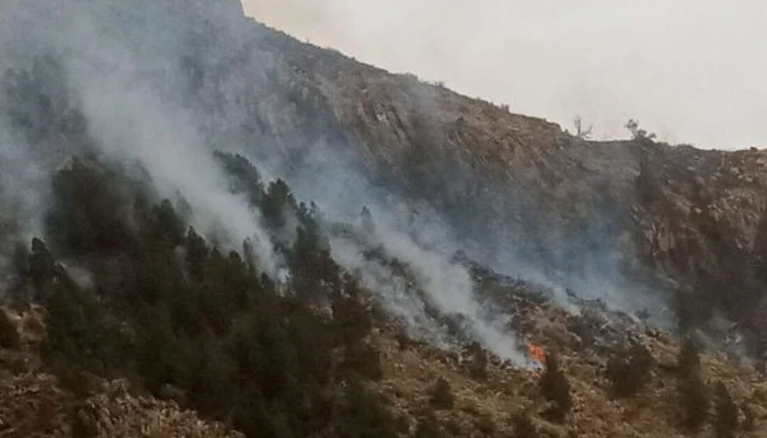 Lower Dir: The fire in the mountain forests of Talash has been brought under control