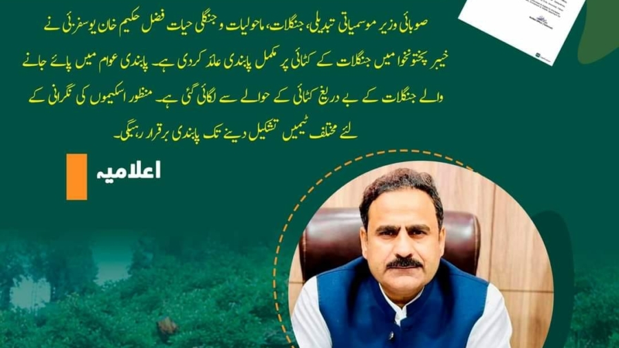 Complete ban on deforestation in Khyber Pakhtunkhwa