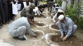 Bajaur: World Environment Day was celebrated today under the auspices of security forces