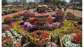 اورکزئی سپر لی میلے