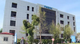 Allowing Palestinian students to continue their studies in Pakistan