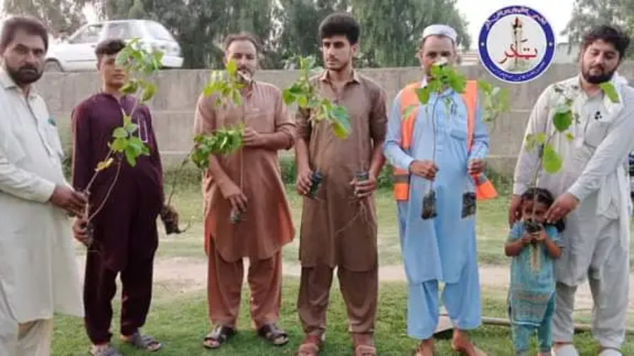 The youth of Tehsil Takhtbhai has started a plantation campaign شجرکاری مہم