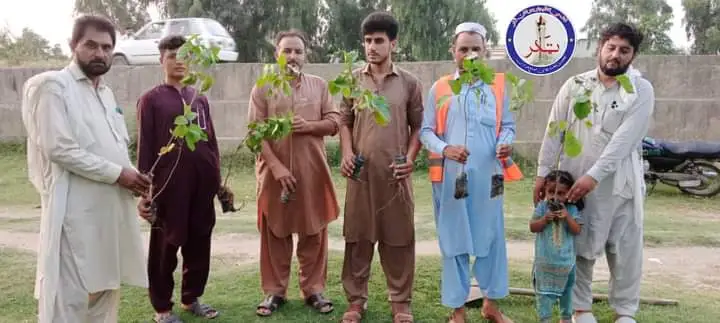 The youth of Tehsil Takhtbhai has started a plantation campaign شجرکاری مہم