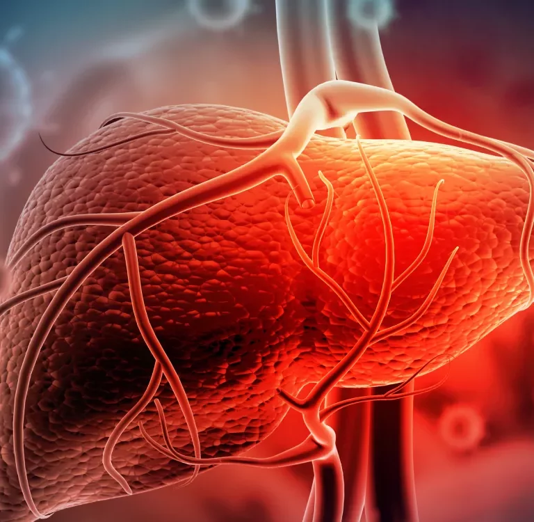 Health Minister's message to the public on the occasion of World Hepatitis Day