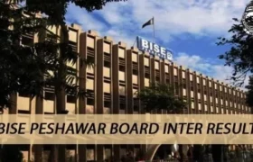 Peshawar Board: Matriculation 2026 results announced