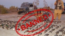 Peshawar: The district administration has banned the hunting of ducks and chickens