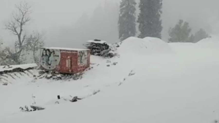 First snowfall of winter in Abbottabad Ayubiyah Gulyat